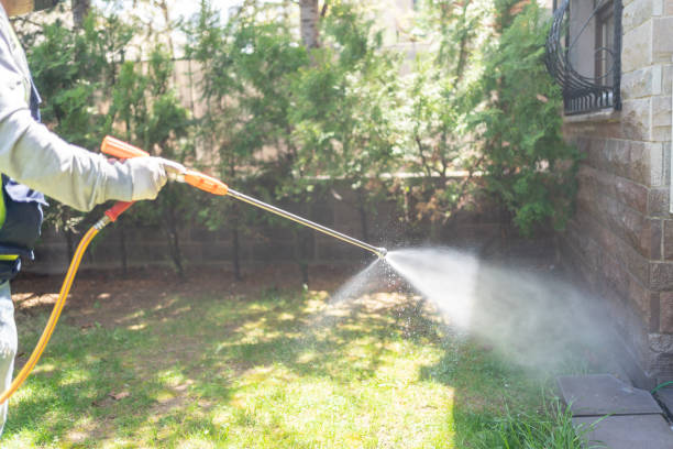 Outdoor Pest Control in Tulare, CA